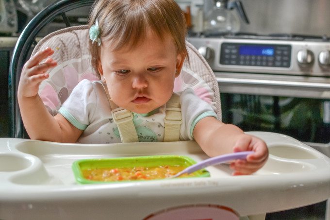 Happy Family Toddler Meal Bowl