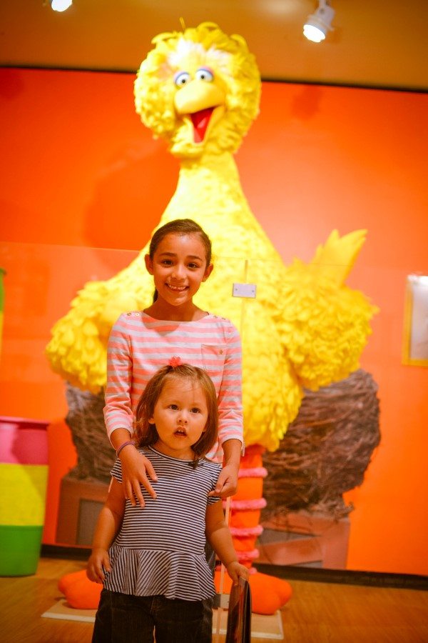 big bird