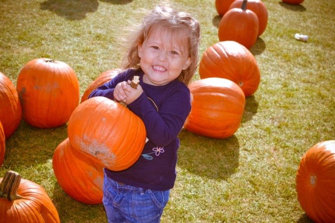 baby pumpkin picking