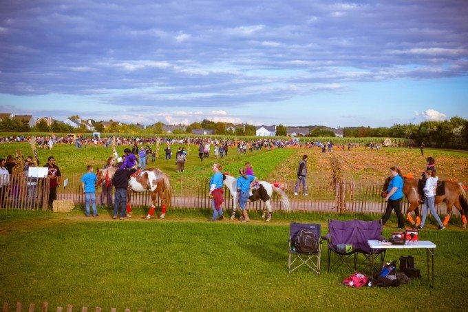 Schmitt Family Farm