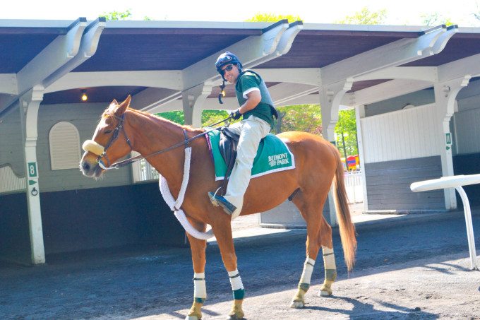 jockey and his horse