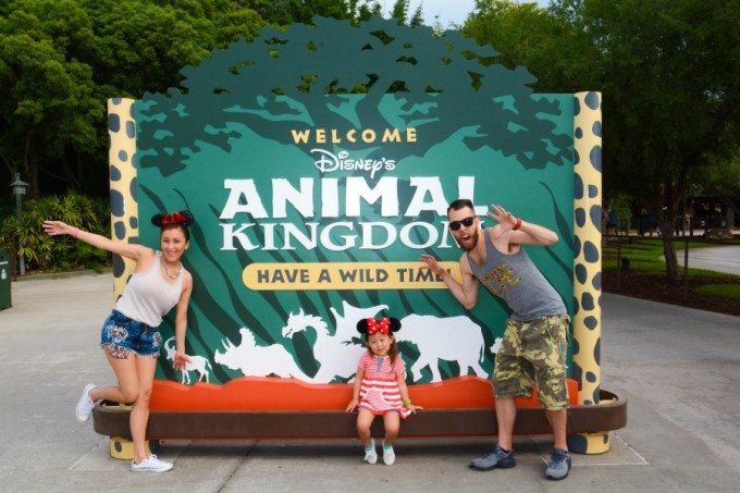 Entrance at Animal Kingdom