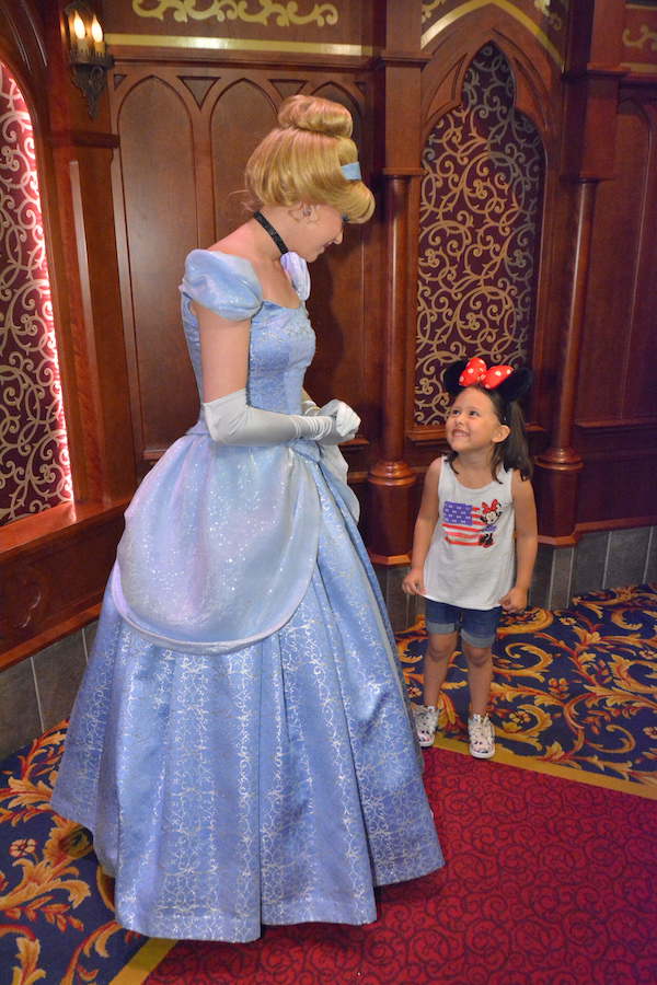 princess cinderella disney land