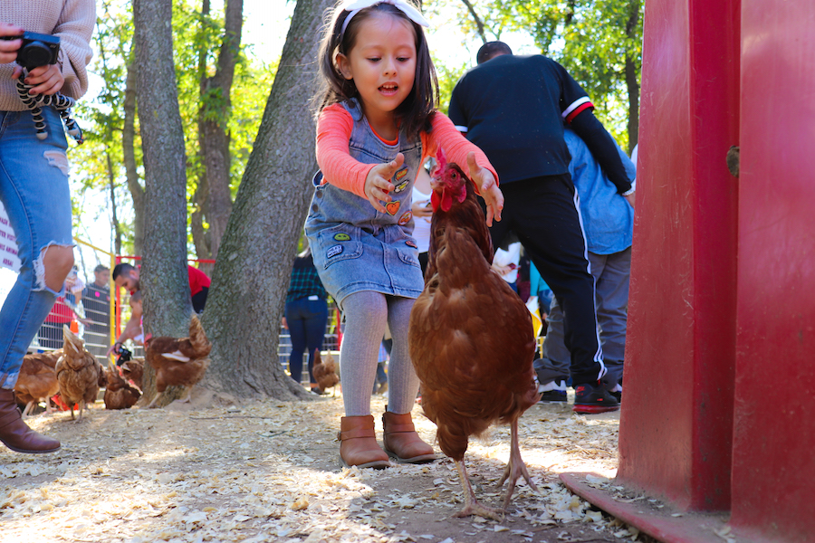 family farms