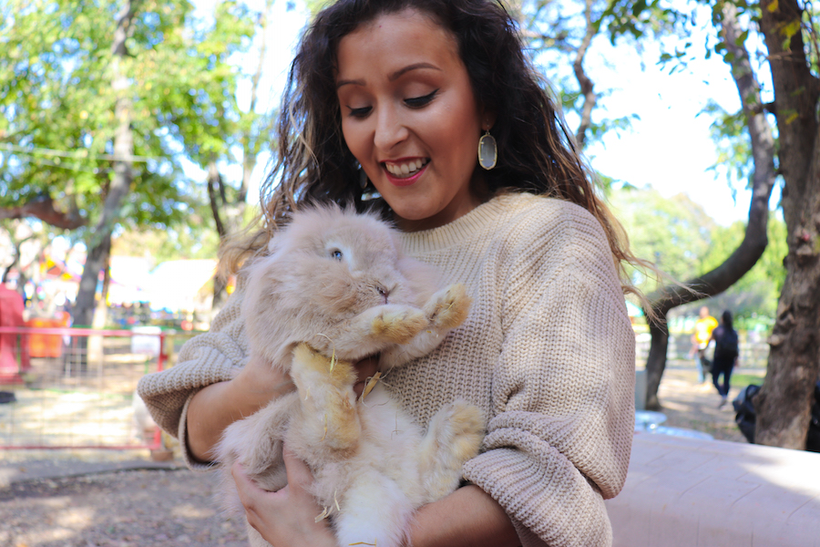 bunnies on a farm