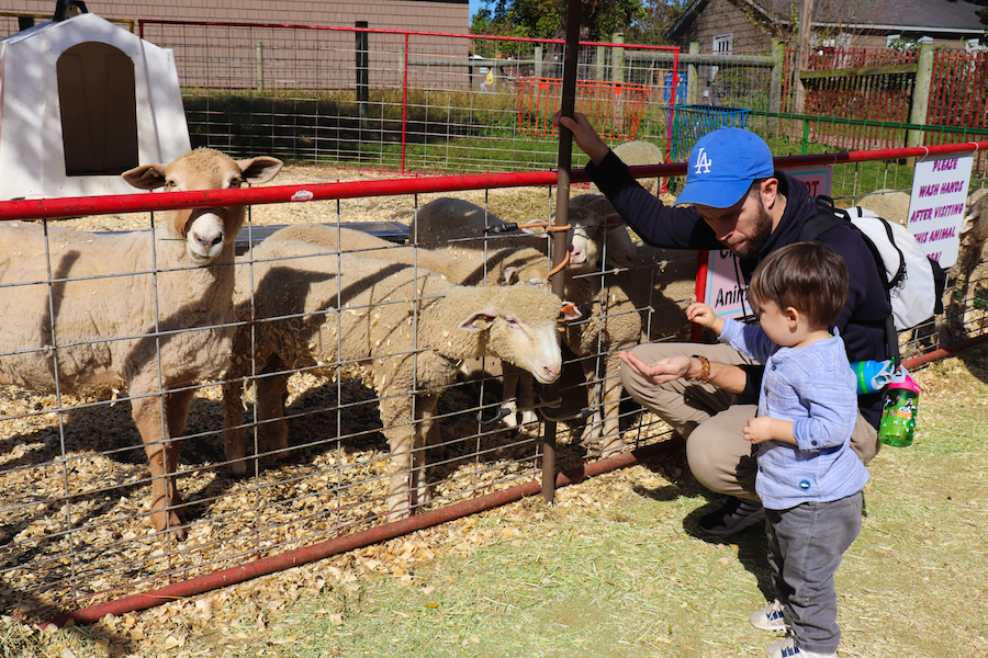 green meadows farm glen oaks