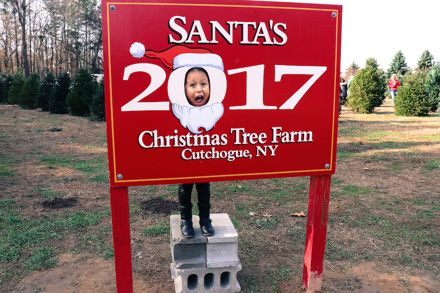 christmas tree farm long island