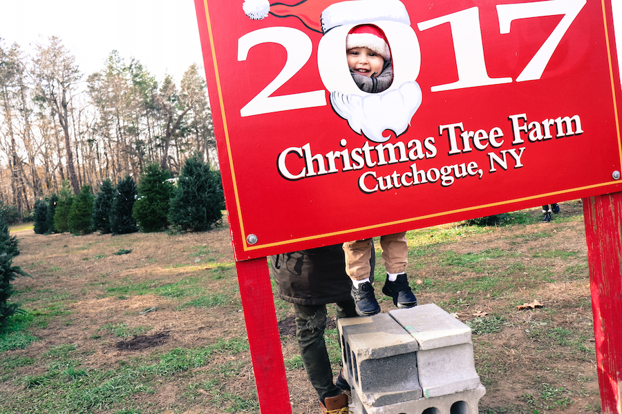 christmas tree farm nyc