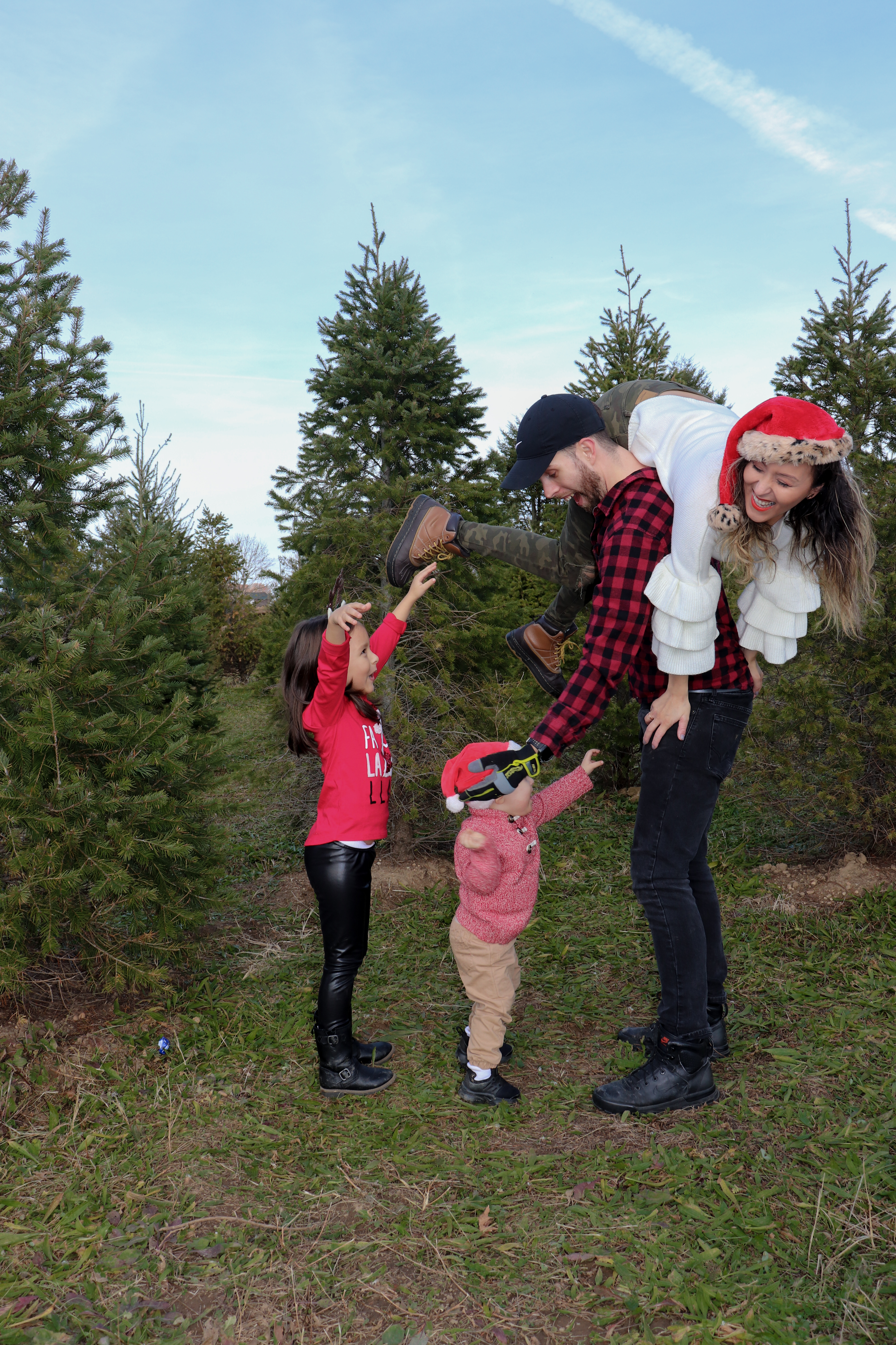 christmas tree farm near me