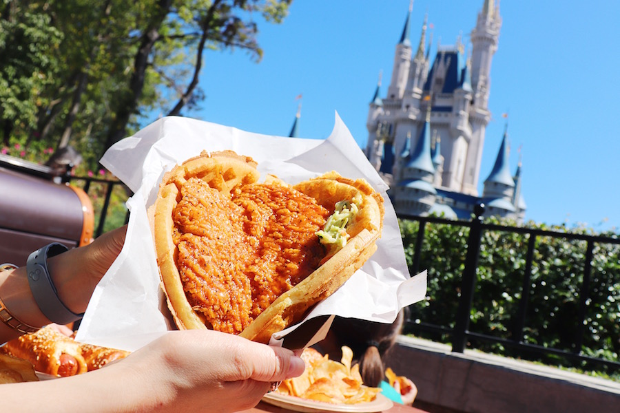 Where to eat in Disney World