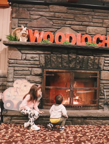 Woodloch Resort Reviews