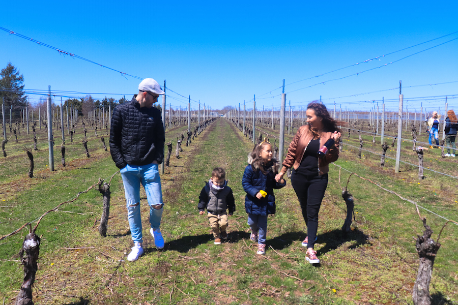 Wine Tasting in NYC