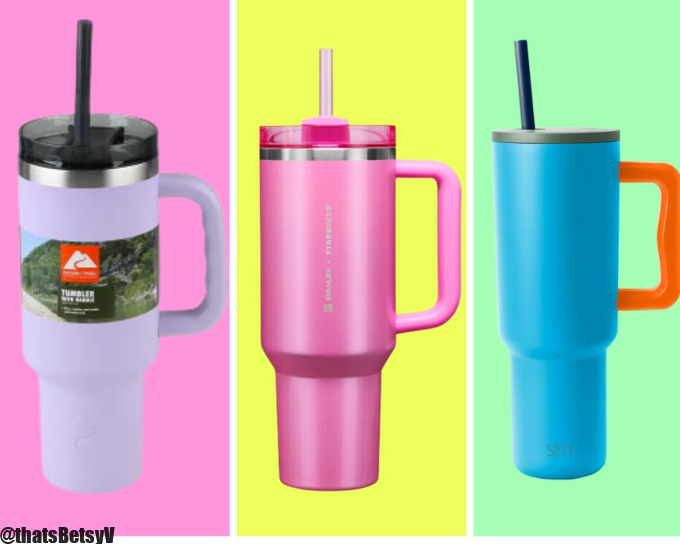 Stanley Tumbler Craze Obsession